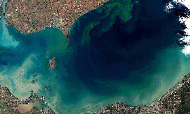 Miles of Algae Covering Lake Erie - The New York Times