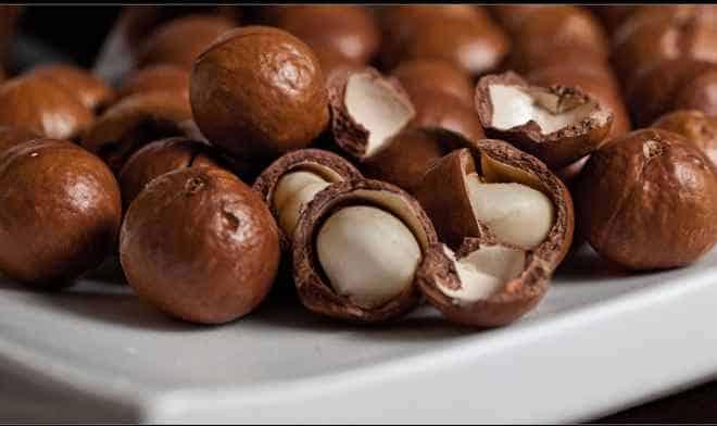 Indigenous Crop: Macadamia: Australia’s national nut – Food Tank