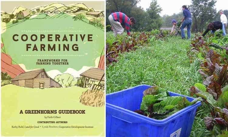 Food Tank Book Of The Week Cooperative Farming Frameworks For Farming 