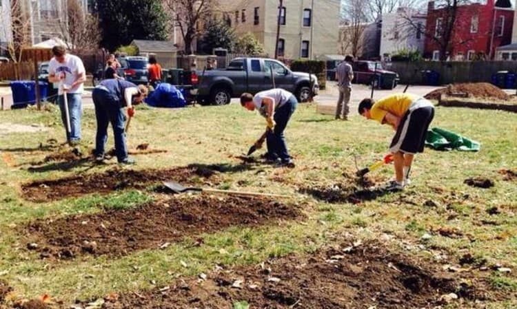 Victory Gardens DC is Growing Food and Community – Food Tank