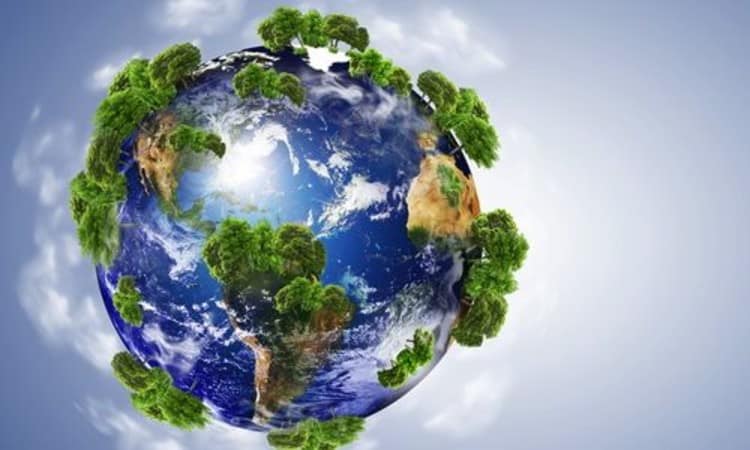 A Push For Positive Environmental Impact On World Environment Day 