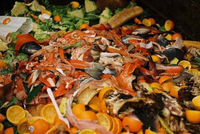 21 Inspiring Initiatives Working to Reduce Food Waste Around the World –  Food Tank
