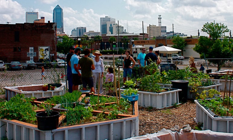 Urban Agriculture Projects Food Tank, How To Make Urban Gardening