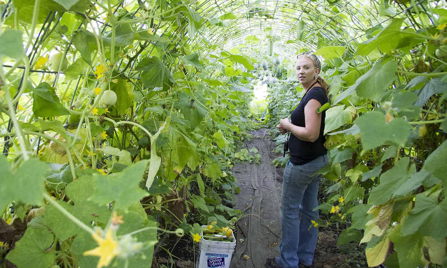 Growing North Dakota Sustainably, One Small Farm at a Time ...