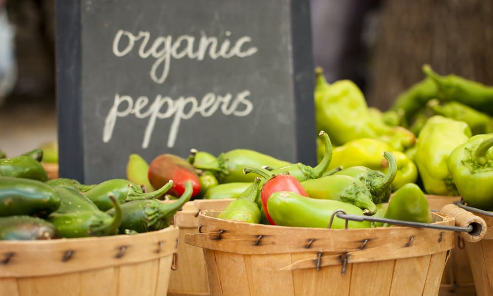 Demand Real Organic Food from Real Organic Farmers - Cornucopia Institute