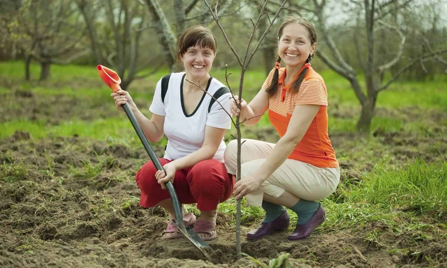 Фото весеннего труда в семье