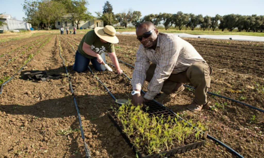 planting-the-seed-cultivating-the-next-generation-of-farmers-food-tank