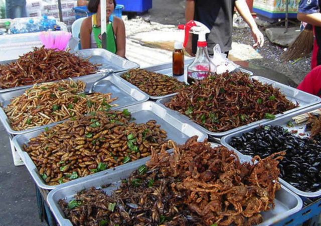 Edible insects have long been a part of the human diet and are commonly consumed as a food source in many regions of the world. It is estimated that two billion people currently consume insects as part of their diets.