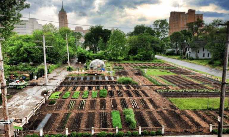 City Gardening