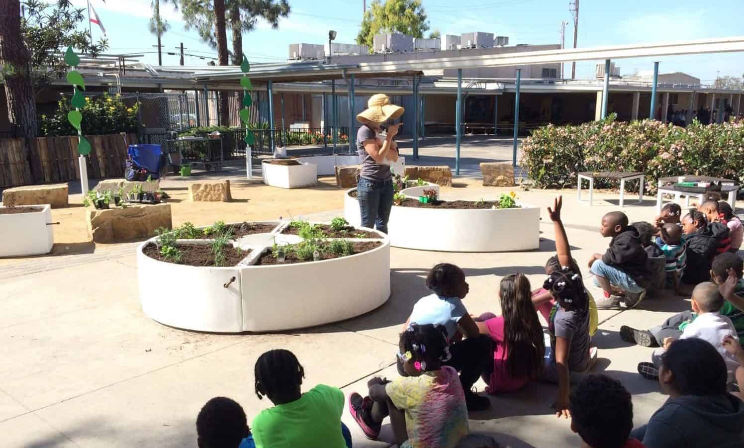 Elementary-school students gather in their school garden to learn how to grow their own food.