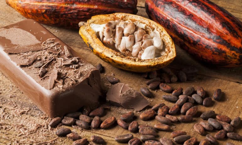 Chocothon seeks to improve the resilience and productivity of cocoa farming in Ghana.