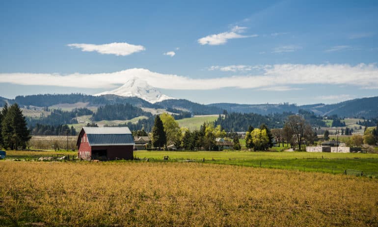 Food Tank had the chance to speak with Narendra Varma, the founder of Our Table, a multi-stakeholder cooperative farm and grocery in Sherwood, Oregon on the future of food cooperatives.