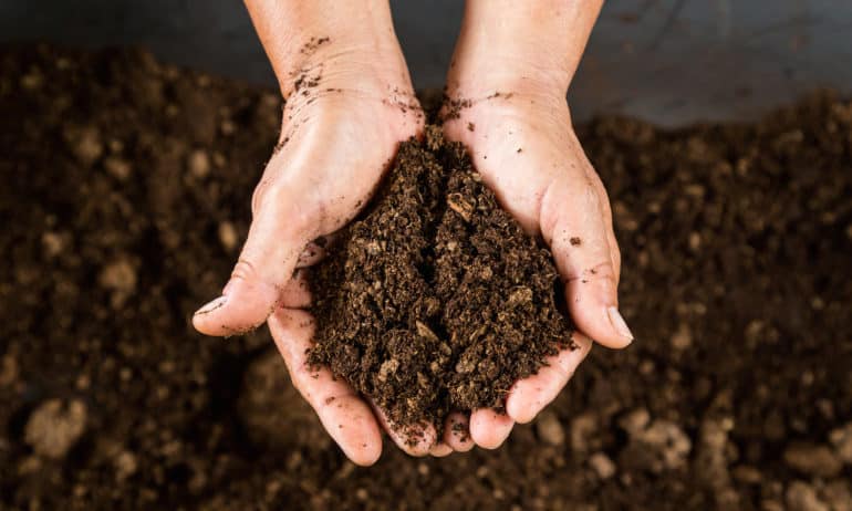 SmartSOIL, an interdisciplinary project, examined the state of European soils.