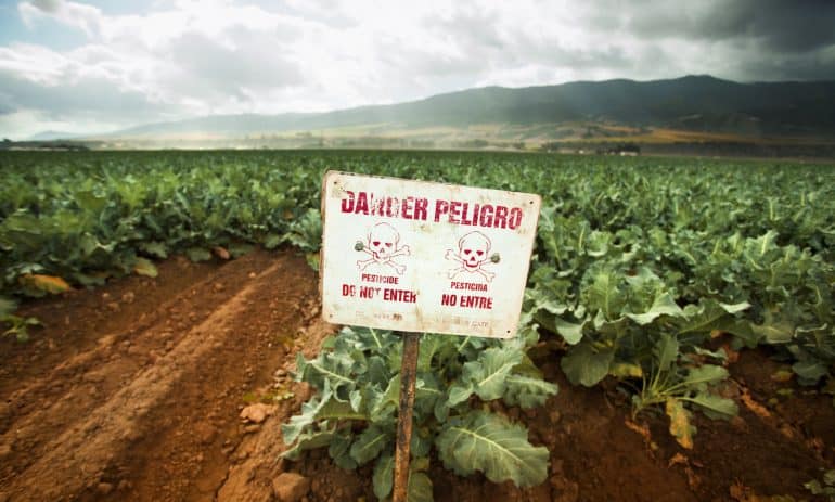 United Nations report exposes pesticides catastrophic harm to people and the environment, rejecting the myth that they are necessary in feeding the world.