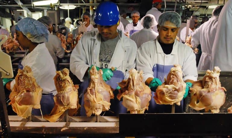 Oxfam America in its 2015 Lives on the Line publication reported poultry workers suffrage under inhuman and unjust working conditions.