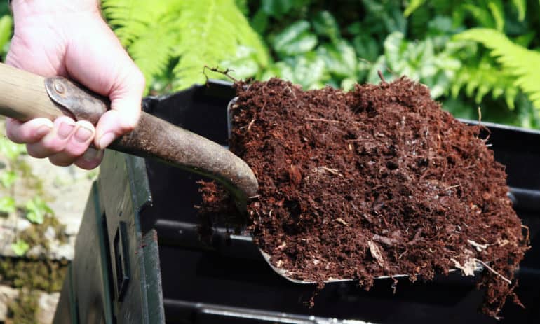 The Compost Story seeks to educate people about the importance of composting, a regenerative solution to improve soil health everywhere.