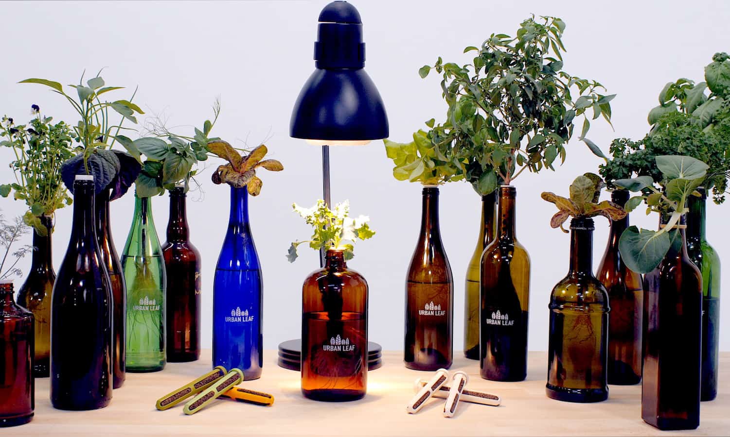 UrbanLeaf has created the world's smallest garden