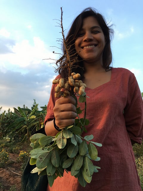 Ashlesha works with La Via Campesina and supports the work of the Amiriti Bhoomi Agroecology School in Karnataka, India.