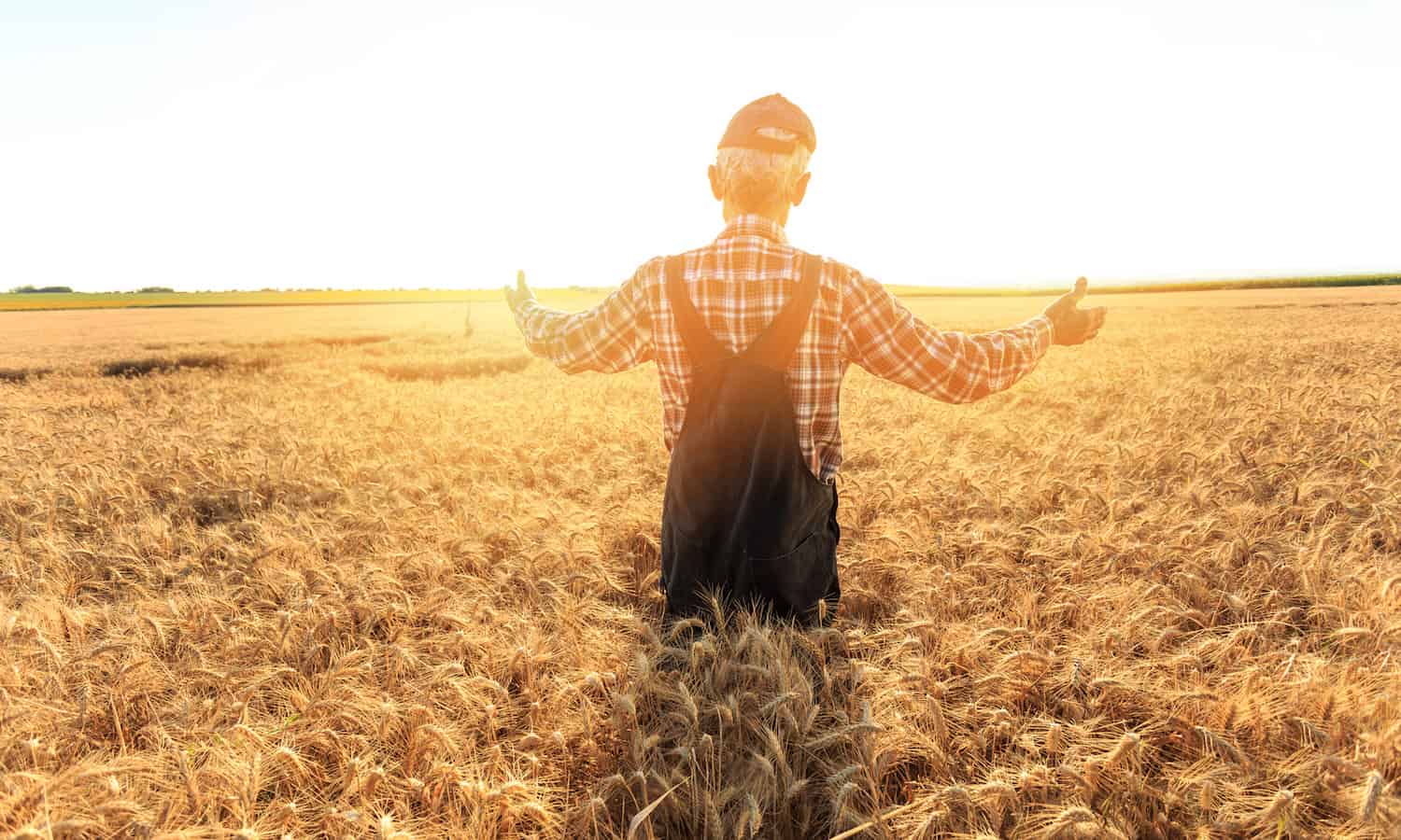 Food Tank has assembled a list of 21 farmers, advocates, and innovators who are still changing food in their older years.