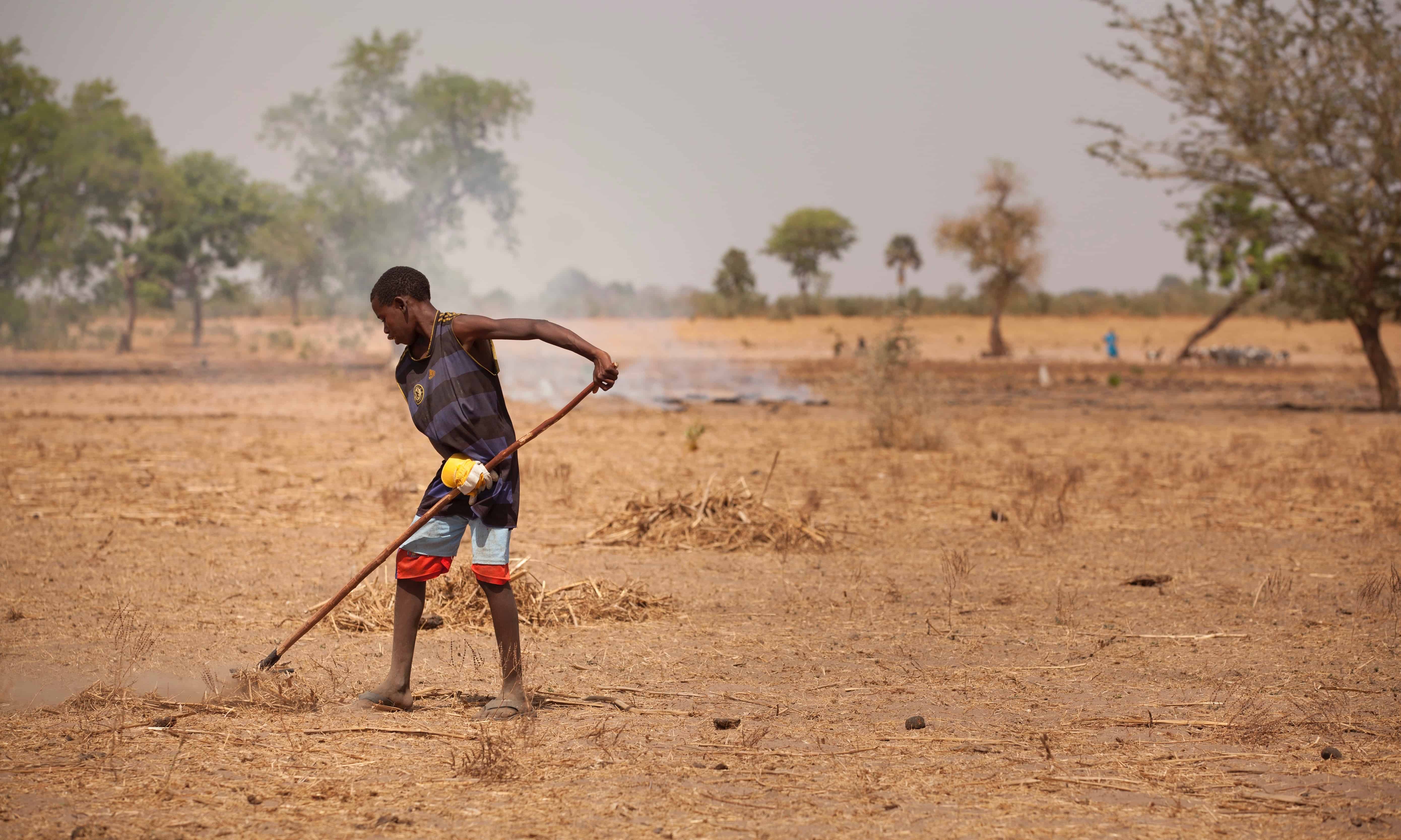 A new IFPRI report examines climate change’s effect on global nutrition, and how mitigation and adaptation strategies throughout the food system can help.