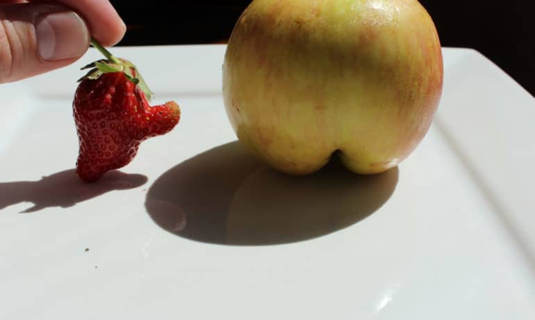 Kids love ugly fruit, they know that wasting good food, based on the way it looks, is just wrong!