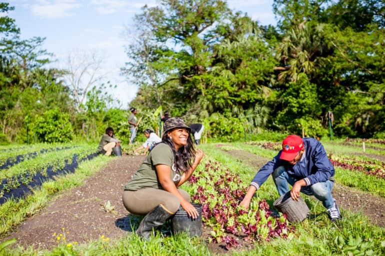 Grow Dat Youth Farm promotes youth leadership, food justice, and sustainability.