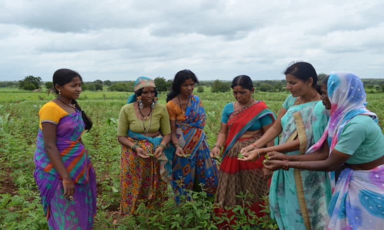 Women-Led Farming Model Wins 2017 United Nations Equator Prize