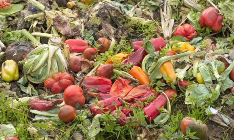 The Natural Resources Defense Council’s latest food waste report highlights how consumers are the biggest wasters of food across the entire food chain.