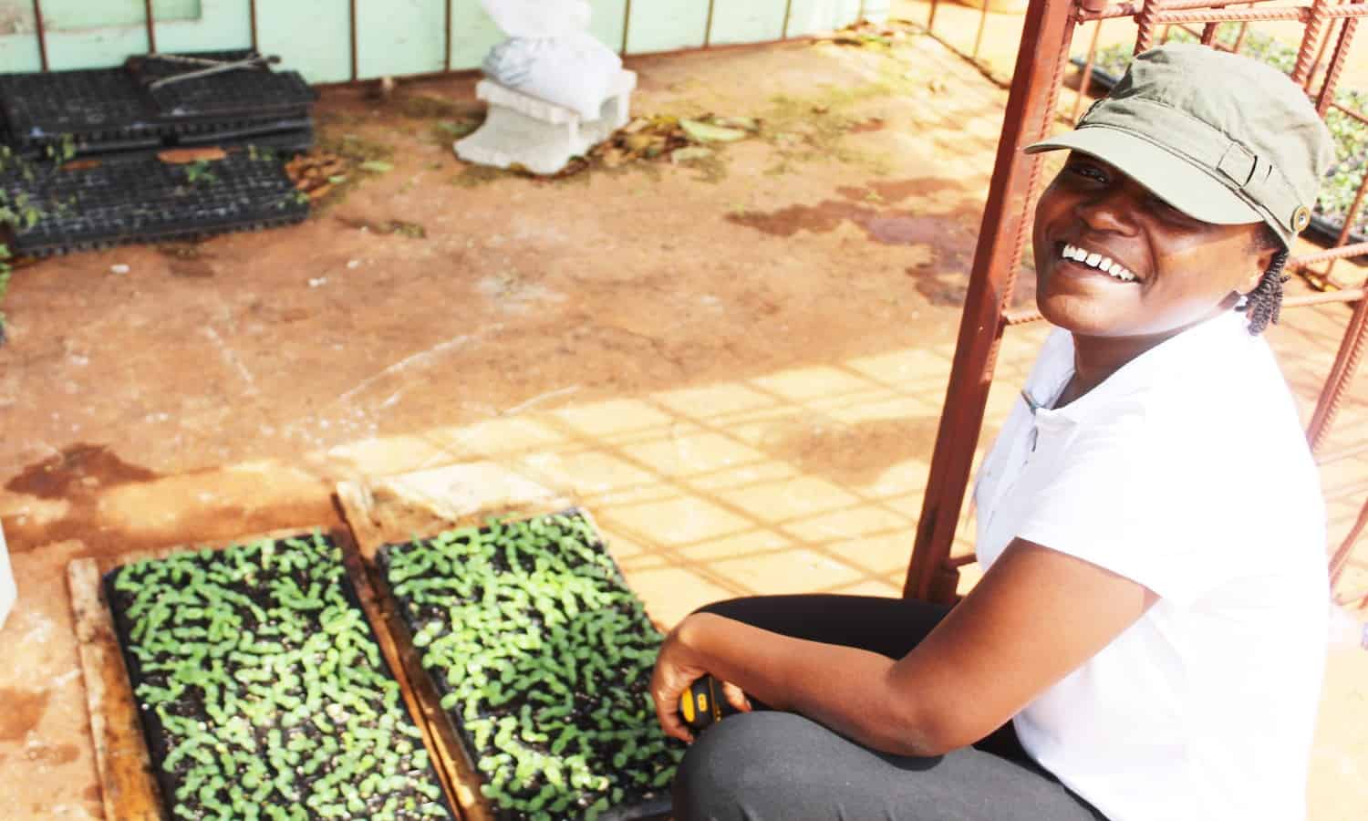 Climate change has resulted in new and unpredictable weather patterns which are impacting coffee farmers and food security in Jamaica.