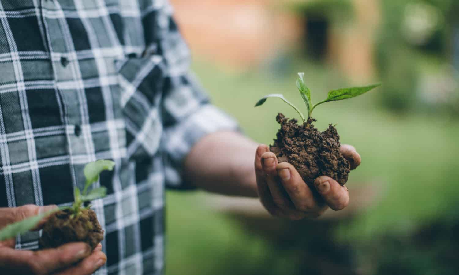 Food Tank is highlighting 18 initiatives that work to train veterans of the U.S. Armed Forces to feed America.