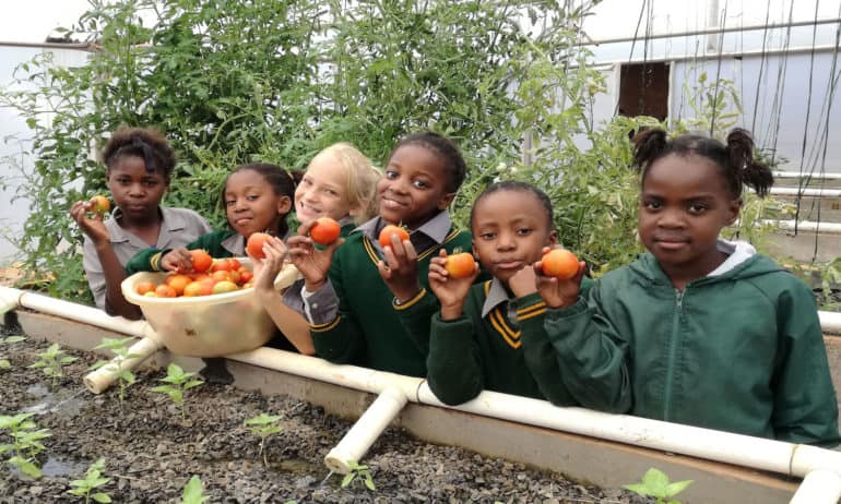 INMED Partnerships for Children is improving food security and creating opportunities for small farmers through their adaptive aquaponics programs.