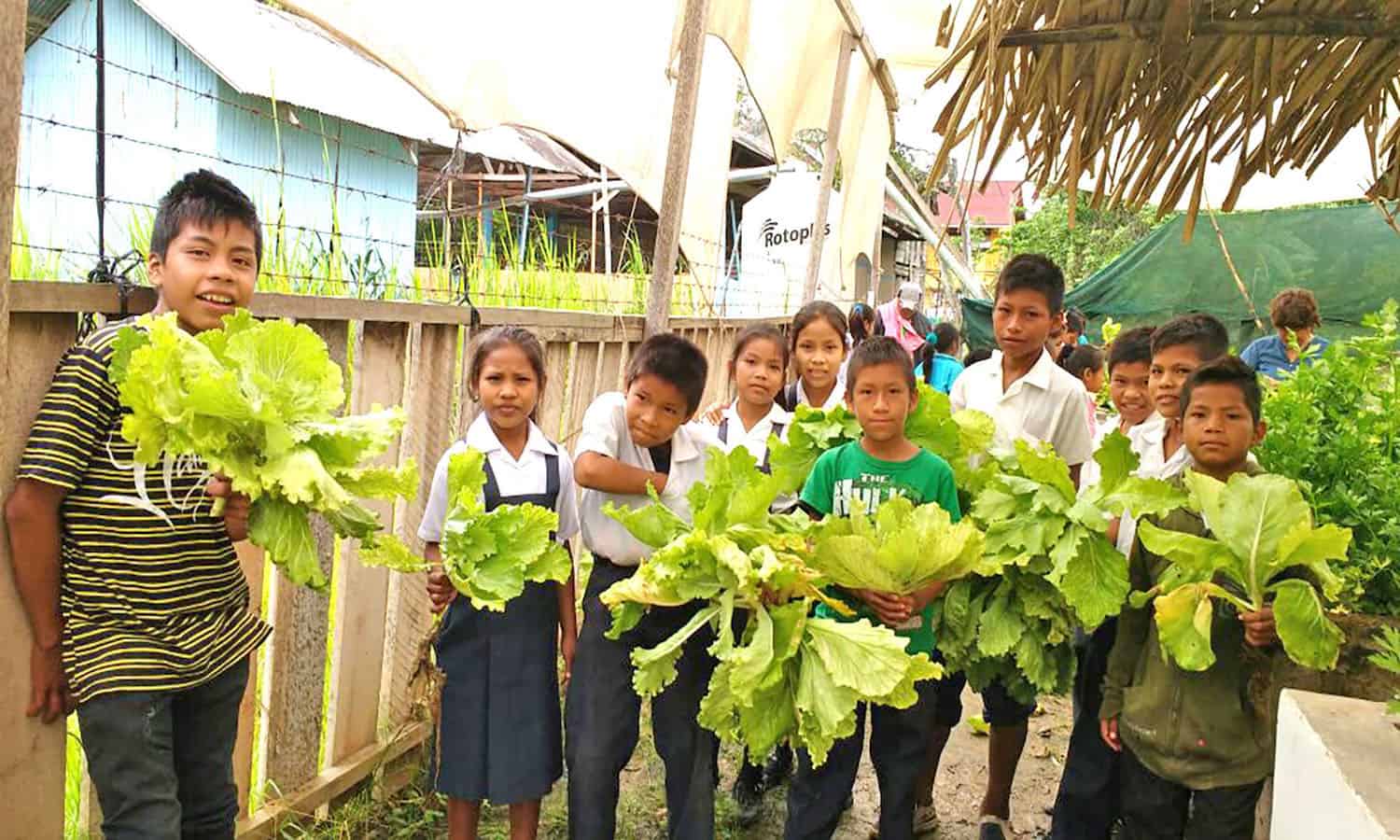 INMED Partnerships for Children is improving food security and creating opportunities for small farmers through their adaptive aquaponics programs.