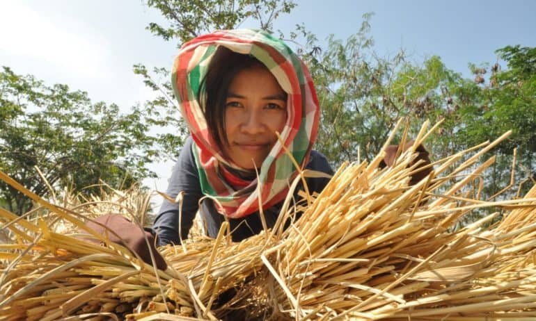 Strengthening the linkages between rural and urban areas is key to addressing hunger and poverty says the FAO 2017 State of Food and Agriculture report.