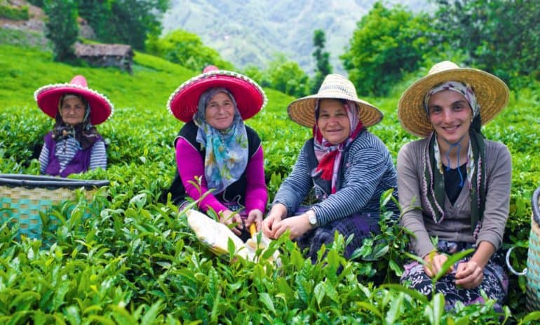 October 15 is recognized by the United Nations as the International Day of Rural Women, a day to honor rural women worldwide.