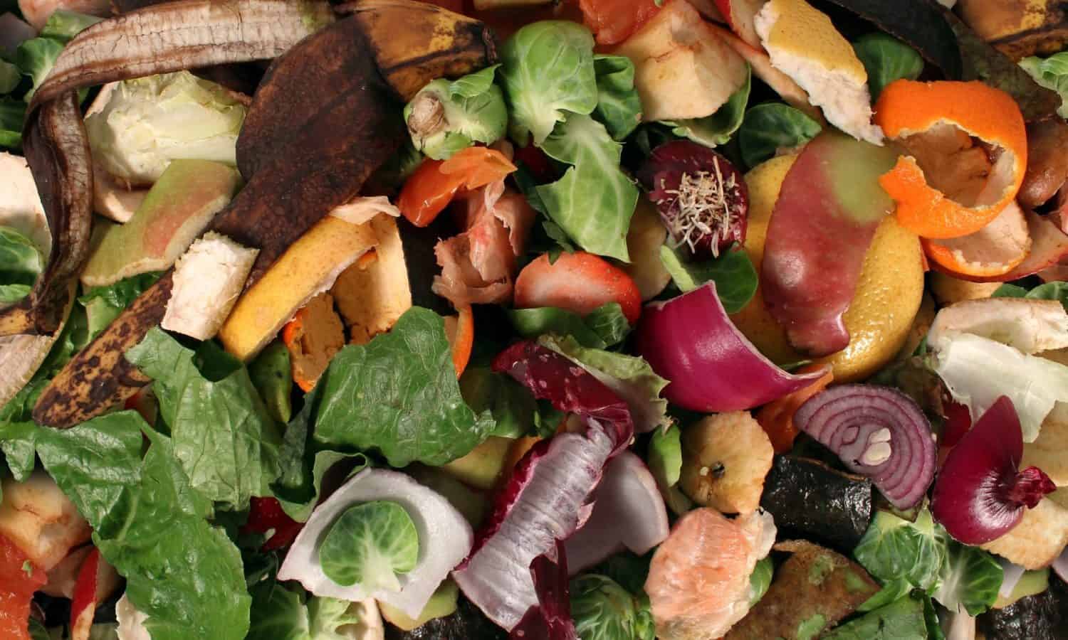 Danielle Nierenberg, president of Food Tank, discusses the issue of food waste and steps being taken to confront it.