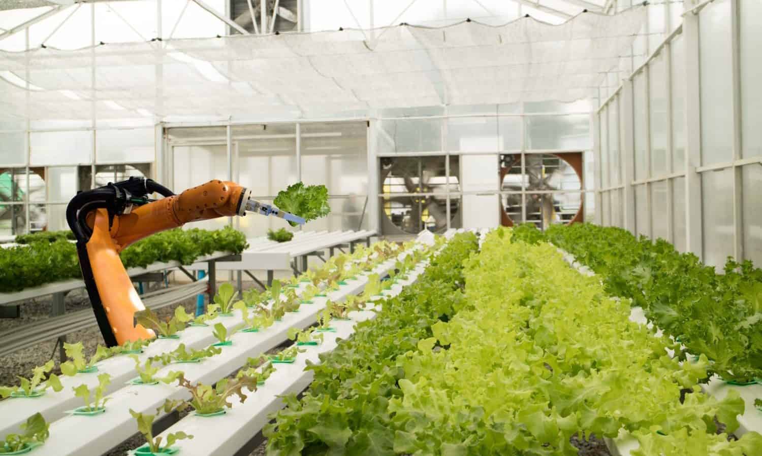 Can AI save our food system? When applied to agriculture, AI may optimize yields, improve farm planning, optimize resources, and considerably prevent waste.