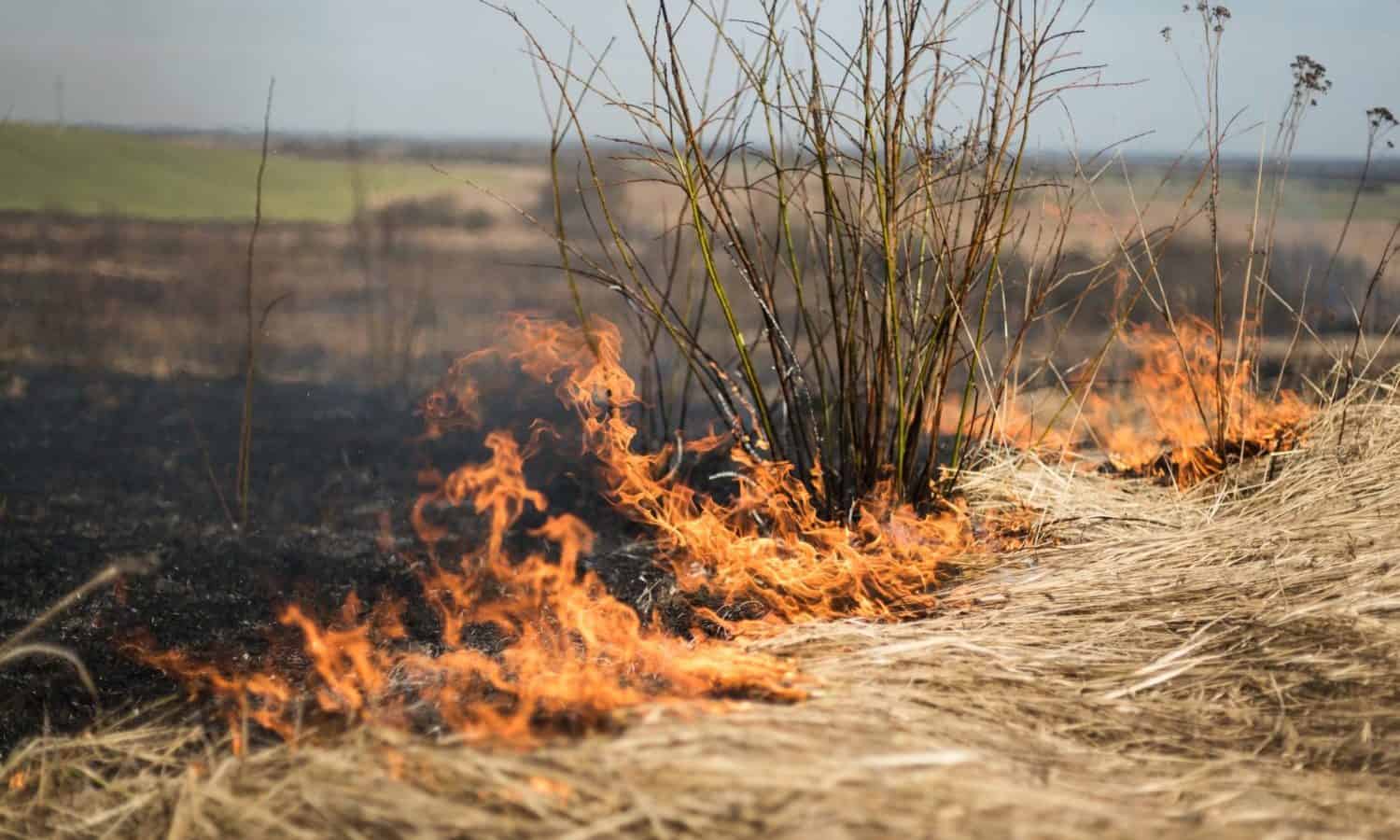 Recent unprecedented wildfires in California wine country have brought uncertainty for farmers, laborers, and winemakers.