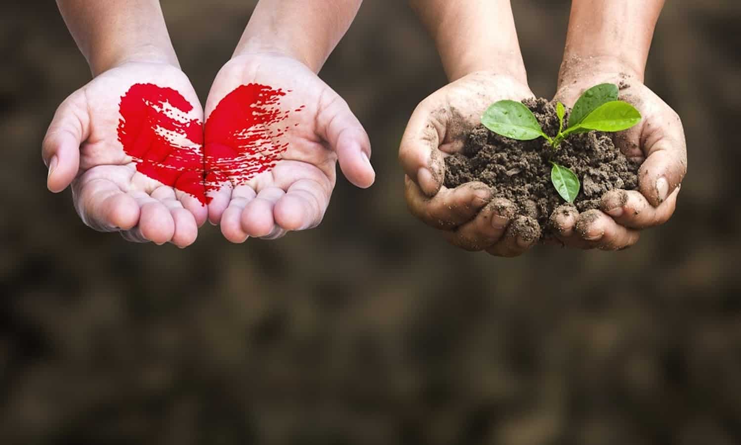 To celebrate World Soil Day, Food Tank is highlighting the work of 10 soil scientists from around the globe driving sustainable soil management.