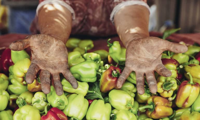 Today marks 100 days since Hurricane Maria made landfall, and Puerto Rico is still importing 95 percent of its food. It’s time to prioritize the island’s right to food security by way of food sovereignty.