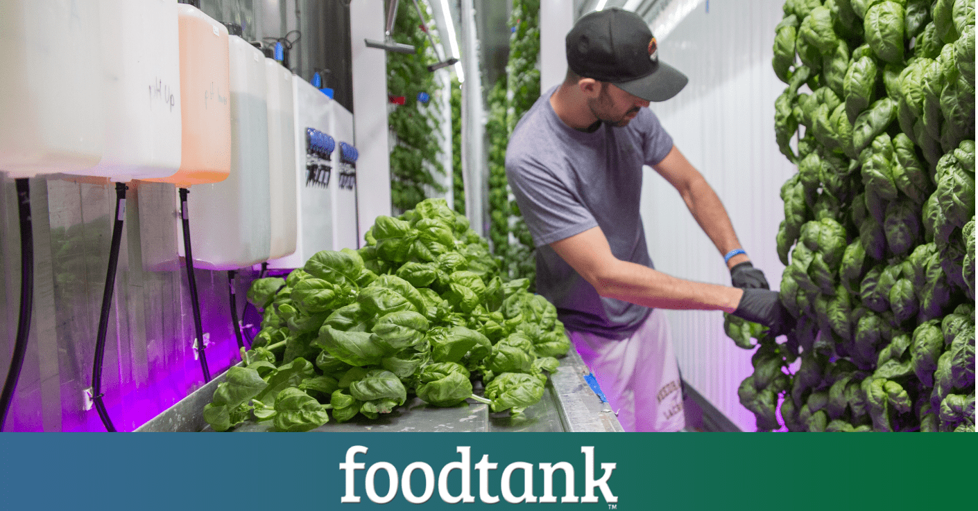 Square Roots, a high-tech indoor farming accelerator in the heart of Brooklyn, provides fresh, sustainable produce twelve months a year.
