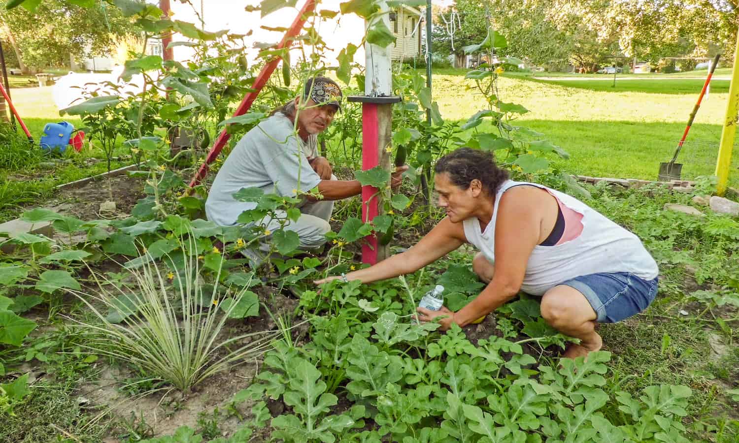 The Santee Sioux community wishes to revitalize and strengthen traditional food and agriculture practices to create a self-sufficient food system.