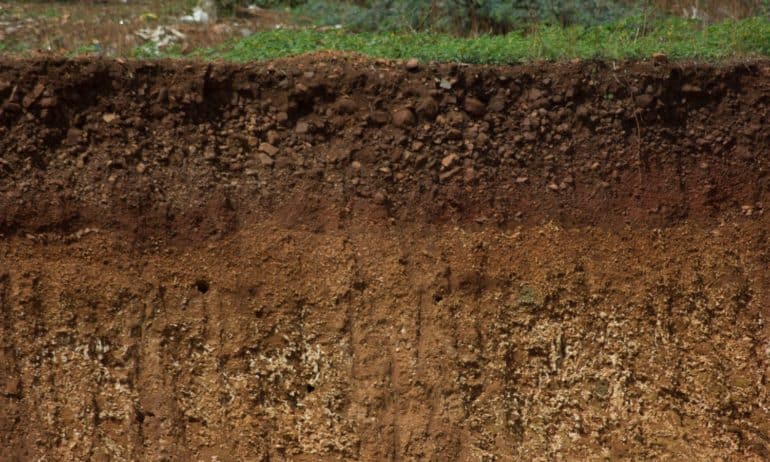 To celebrate World Soil Day, Food Tank is highlighting the work of 13 soil scientists from around the globe driving sustainable soil management.