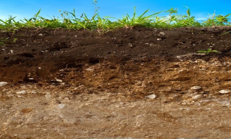 Sustainable Soil Initiatives Making an Impact – Food Tank