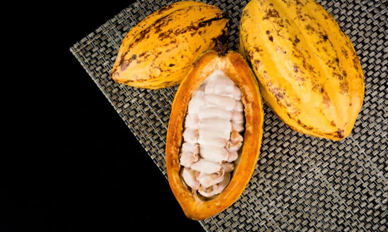 The world’s largest chocolate company wants 100-percent sustainably-sourced cocoa.