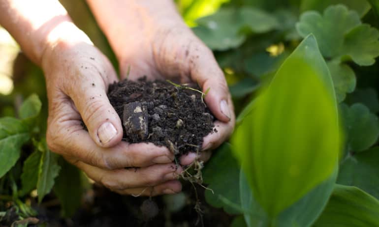 Healthy soil and regenerative farming are the solutions to climate change and human health issues.