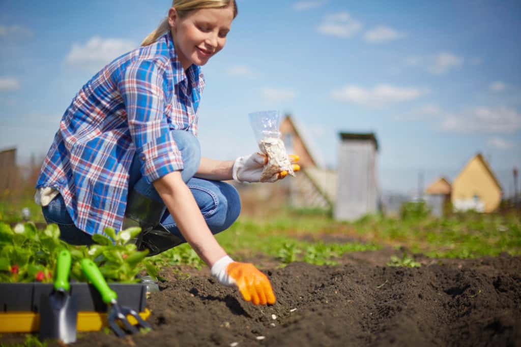 Image Of Female Farmer Sowing Seed In The Garden Food Tank