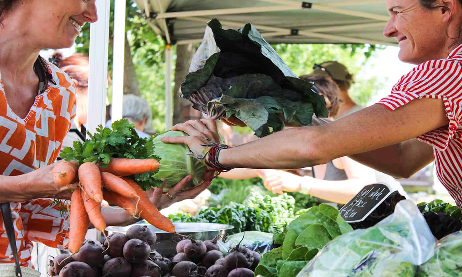 The Farmers Market Alliance of New South Wales is helping to build successful and authentic farmers markets in Australia.