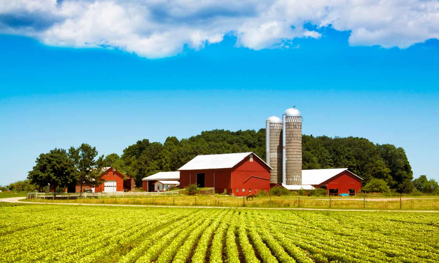 The Farm Bill is a massive, omnibus piece of legislation that dictates US$87 billion a year towards the nation’s food and farming policies. Congress must ensure that this year's Farm Bill builds a sustainable and healthy future for all. 
