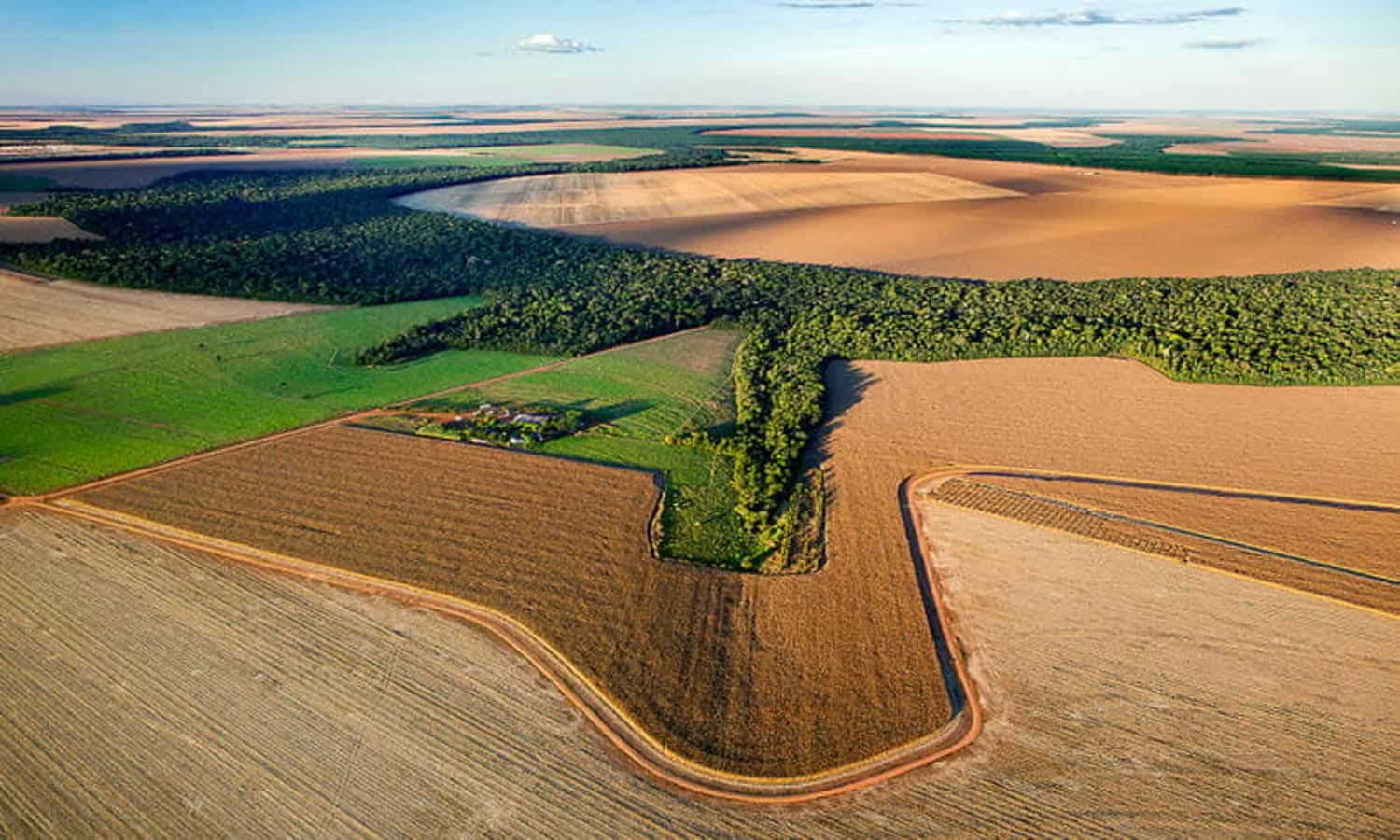 Territorial intelligence reaches new heights in an effort to help Brazil’s soybean industry avoid deforestation and expand sustainably.