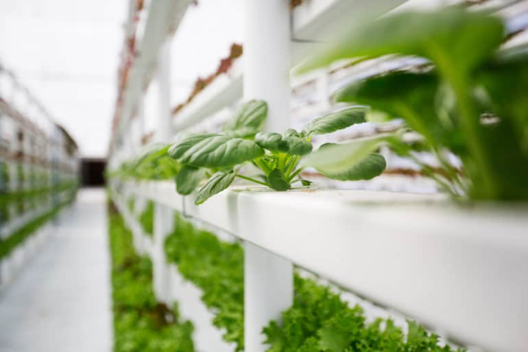 AgTech farm development company, 7 Generations, works to provide Native communities and classrooms with better food through indoor vertical farms.